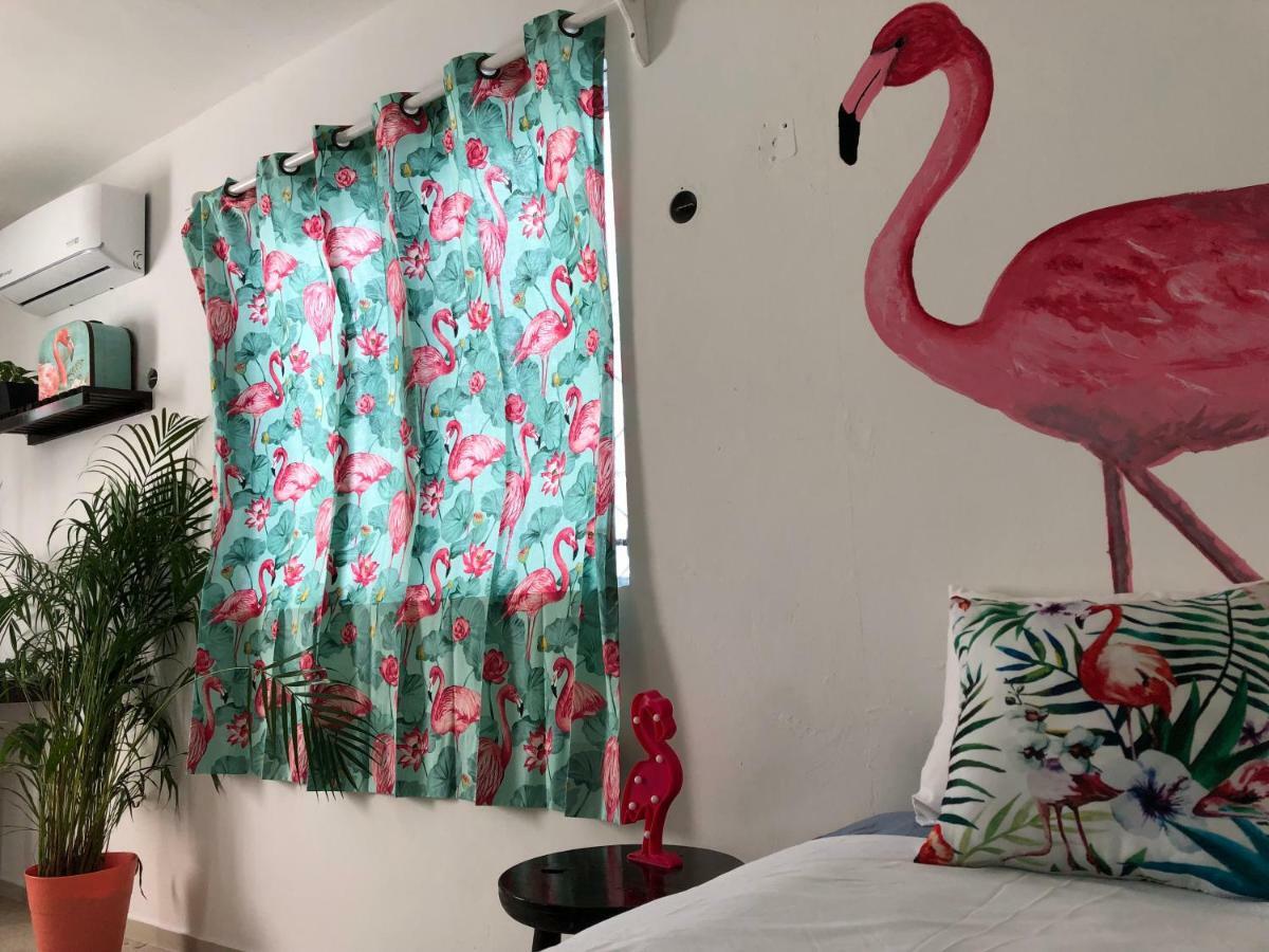 Casa Tropical Hotel Cancun Luaran gambar