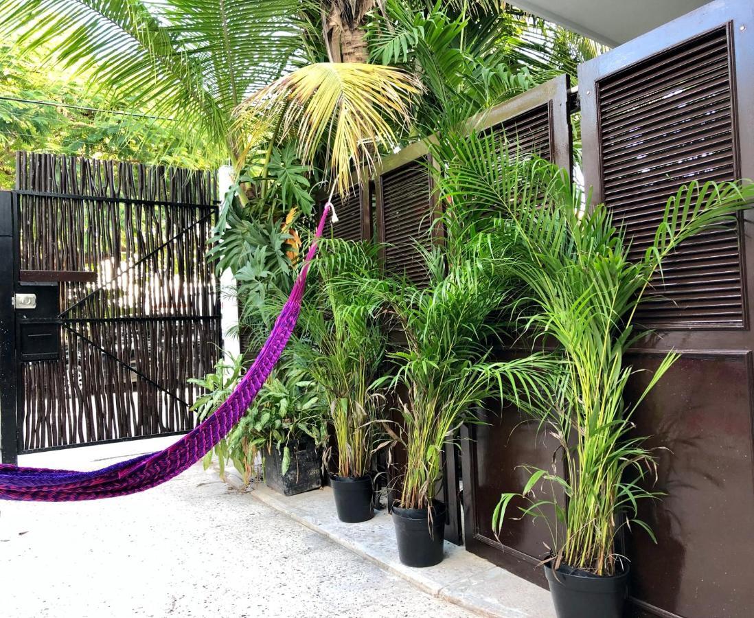 Casa Tropical Hotel Cancun Luaran gambar